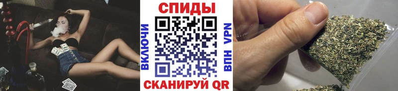 Купить  Покачи  Бутират BDO 