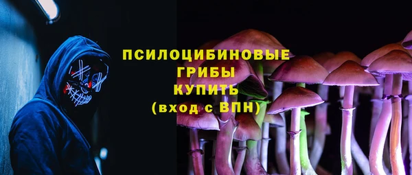mdpv Горняк