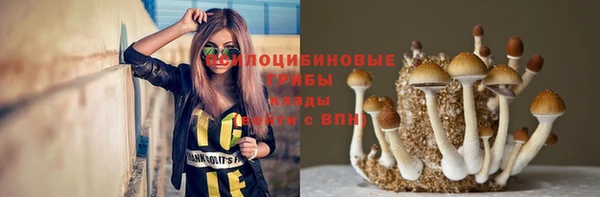 mdma Горнозаводск