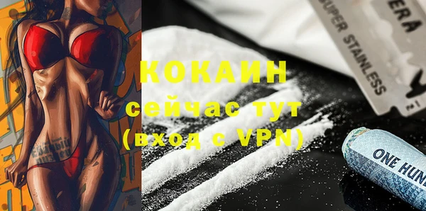 mdpv Горняк