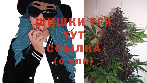 mdpv Горняк