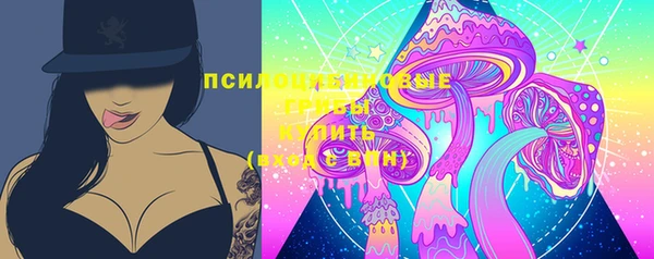 mdpv Горняк