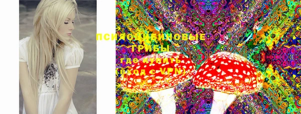 mdpv Горняк