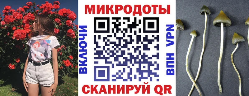 Галлюциногенные грибы ЛСД  Купить где  Покачи 