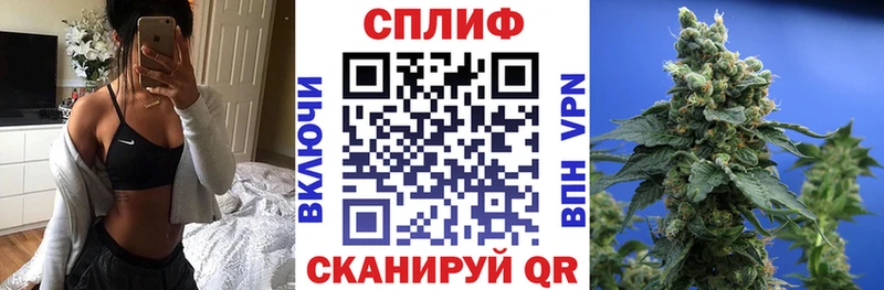 Каннабис планчик  Купить закладки  Покачи 